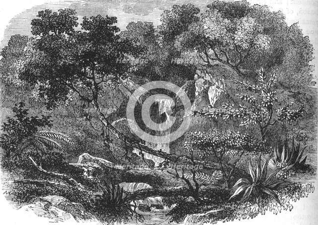'New Zealand Landscape', c1880. Artist: Unknown.