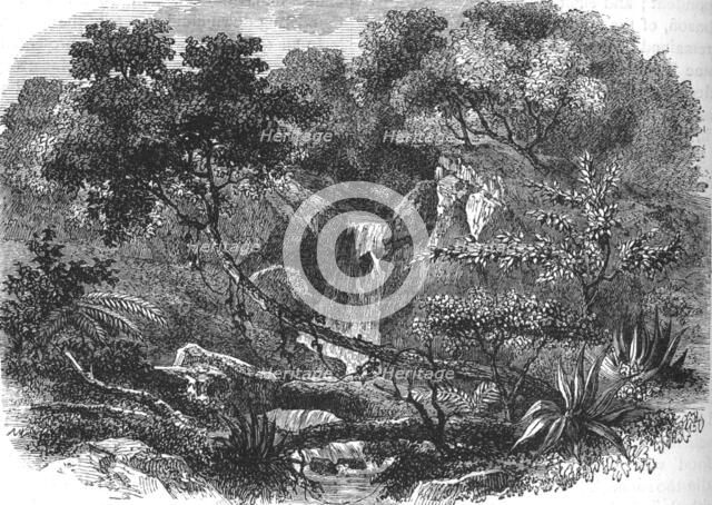 'New Zealand Landscape', c1880. Artist: Unknown.