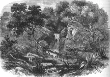 New Zealand Landscape c1880