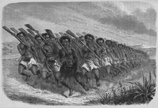 New Zealand War-Dance c1880