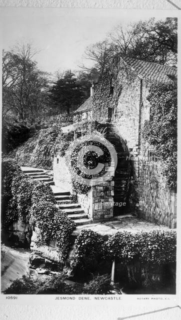 Newcastle Upon Tyne, Jesmond Dene, The Water Mill c1887. Creator: Unknown.