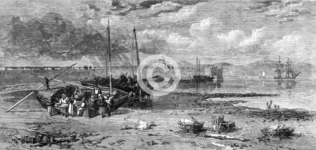 Newhaven Pier: the fishing-boats arrived, 1862. Creator: Unknown.