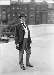 Newlands, Francis Griffith, Rep. from Nevada, 1893-1903; Senator, 1903-1917, 1913. Creator: Harris & Ewing