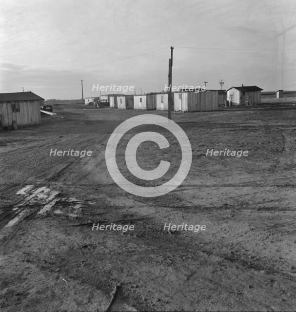 Newly-built cabins, rent five dollars per month, near Bakersfield, California, 1939. Creator: Dorothea Lange.