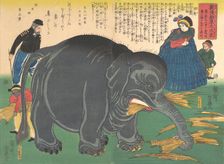Newly Imported Great Elephant, 2nd month, 1863., 2nd month, 1863. Creator: Ichiryusai Yoshitoyo