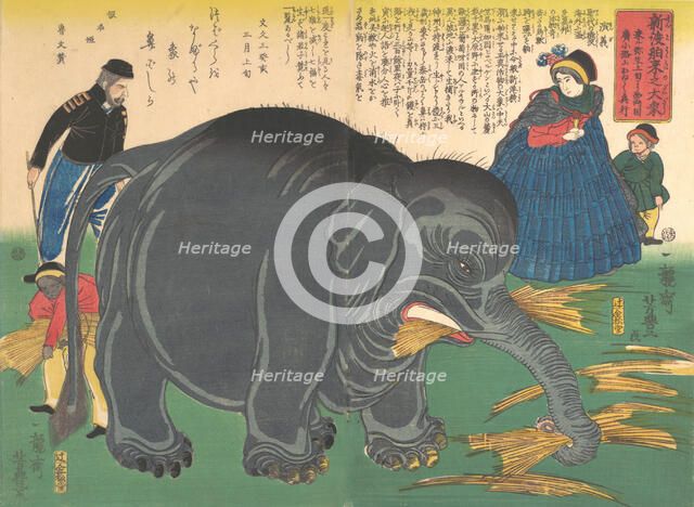 Newly Imported Great Elephant, 2nd month, 1863., 2nd month, 1863. Creator: Ichiryusai Yoshitoyo.
