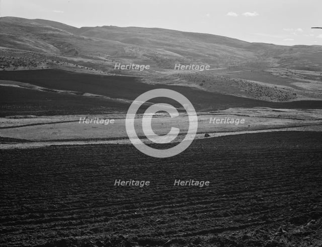 Newly-plowed fields on land...member of Ola self-help sawmill co-op, Gem County, Idaho, 1939. Creator: Dorothea Lange.