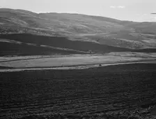 Newly-plowed fields on land...member of Ola self-help sawmill co-op, Gem County, Idaho, 1939. Creator: Dorothea Lange