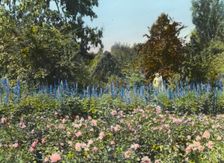 "Newmar," Senator George Almer Newhall house, 1761 Manor Drive, Hillsborough, California, 1917. Creator: Frances Benjamin Johnston