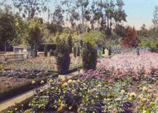 "Newmar," Senator George Almer Newhall house, 1761 Manor Drive, Hillsborough, California, 1917. Creator: Frances Benjamin Johnston