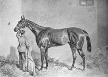 Newminster 1848-1868, (1911)