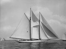 Neaera, 1894 Aug 11. Creator: John S Johnston