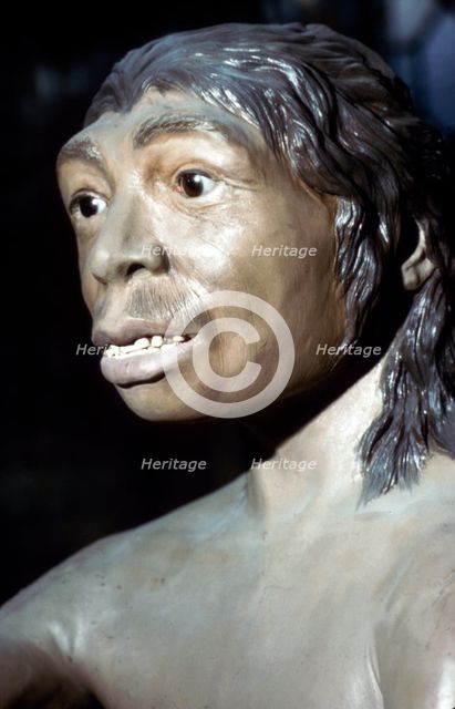 Neanderthal Woman: Reconstruction at British Museum, National History, c20th century. Artist: Unknown.