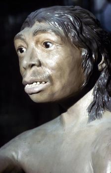 Neanderthal Woman: Reconstruction at British Museum, National History, c20th century