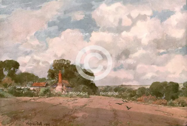 'Near the Hogsback, Surrey', 1901. Creator: Unknown.