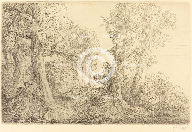 Near the Woods, Veronne (Pres du bois, Veronne). Creator: Alphonse Legros.