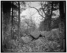 Near Winona Cliff, Delaware Water Gap, between 1890 and 1901. Creator: Unknown