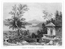 Near Woking, Surrey, 19th century.Artist: Chavan