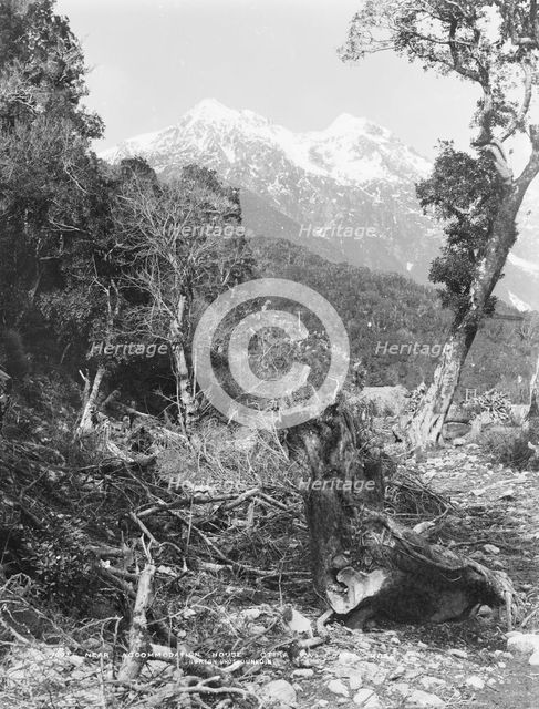 Near accommodation house, Otira, West Coast Road, c.1880. Creator: Burton Brothers.