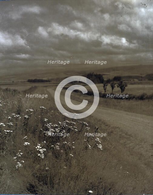 Near Ashburton, c1920-1946. Creator: Thelma Kent.