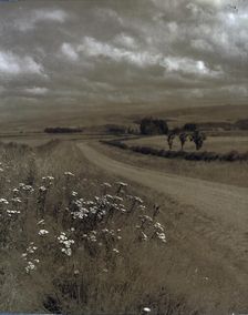 Near Ashburton, c1920-1946. Creator: Thelma Kent