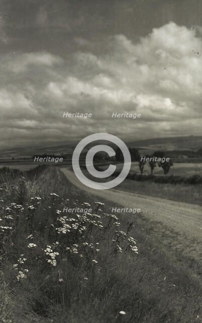 Near Ashburton, c1920-1946. Creator: Thelma Kent.