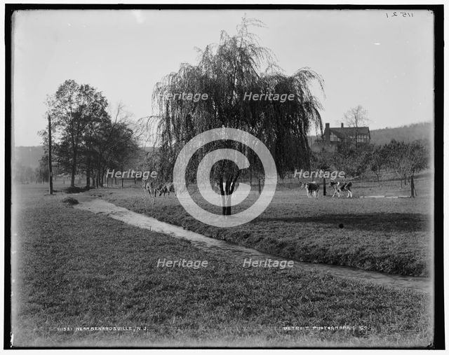 Near Bernardsville, N.J., between 1890 and 1901. Creator: Unknown.