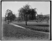 Near Bernardsville, N.J., between 1890 and 1901. Creator: Unknown