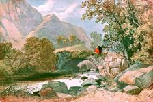 Near Bettws-y-Coed, North Wales (c1900). Creator: Unknown