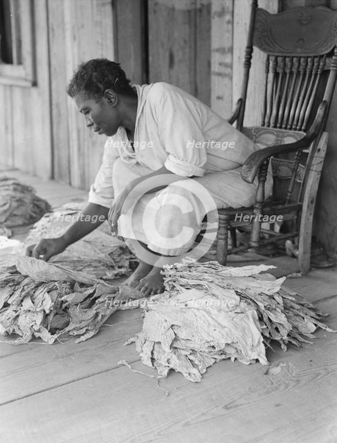 Near Douglas, Georgia, 1938. Creator: Dorothea Lange.