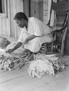 Near Douglas, Georgia, 1938. Creator: Dorothea Lange