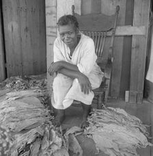 Near Douglas, Georgia. Sharecroppers grade the cured leaves, 1938. Creator: Dorothea Lange