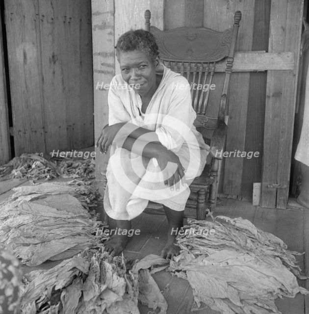 Near Douglas, Georgia. Sharecroppers grade the cured leaves, 1938. Creator: Dorothea Lange.