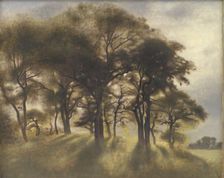 Near Fortunen, Jægersborg Deer Park, North of Copenhagen;From the Deerpark near Copenhagen, 1901. Creator: Vilhelm Hammershøi