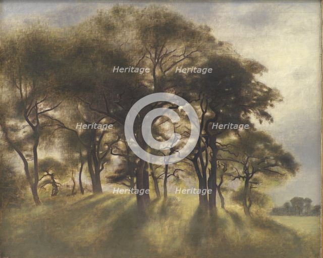 Near Fortunen, Jægersborg Deer Park, North of Copenhagen;From the Deerpark near Copenhagen, 1901. Creator: Vilhelm Hammershøi.