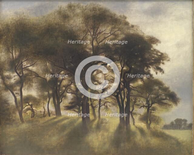 Near Fortunen, Jægersborg Deer Park, North of Copenhagen;From the Deerpark near Copenhagen, 1901. Creator: Vilhelm Hammershøi.