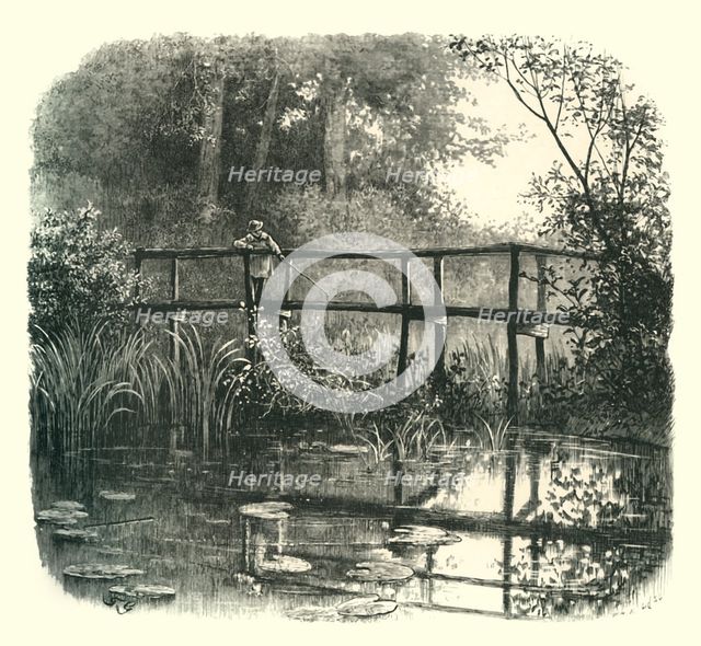 'Near Godalming', c1870.
