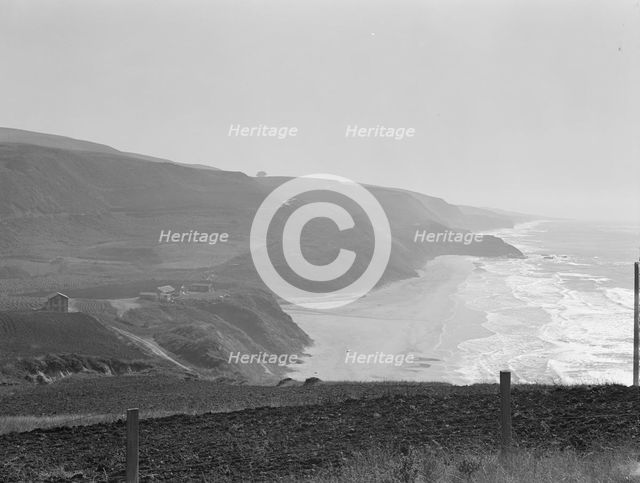 Near Half Moon Bay, California coast, 1938. Creator: Dorothea Lange.