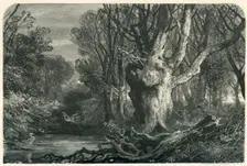 Near Lymington, in the New Forest c1870