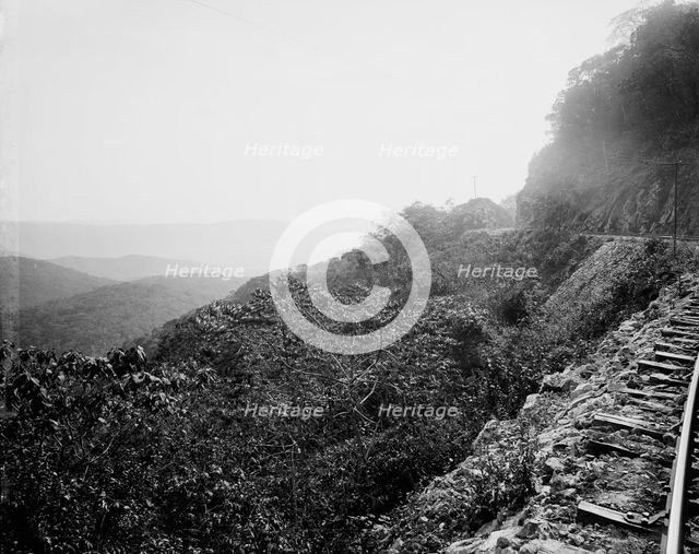 Near mouth of Temasopa [sic] Canon, between 1880 and 1897. Creator: William H. Jackson.