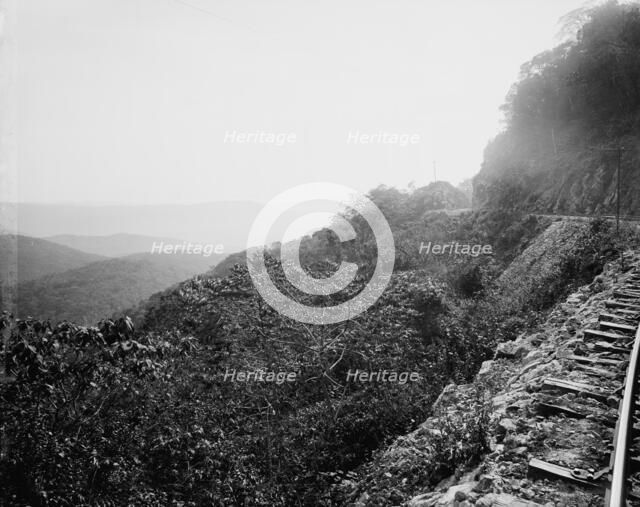 Near mouth of Temasopa [sic] Canon, between 1880 and 1897. Creator: William H. Jackson.