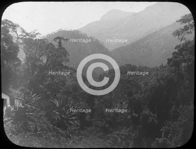 Near Petrópolis, Rio de Janeiro, Brazil, late 19th or early 20th century. Artist: Unknown