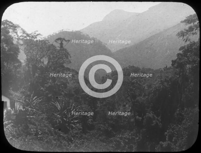 Near Petrópolis, Rio de Janeiro, Brazil, late 19th or early 20th century. Artist: Unknown