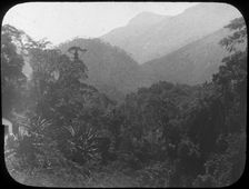 Near Petrópolis, Rio de Janeiro, Brazil, late 19th or early 20th century