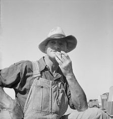 Nebraska farmer come to pick peas, near Calipatria, California, 1939. Creator: Dorothea Lange