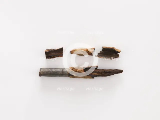 Needle case (fragments), Goryeo period, 12th-13th century. Creator: Unknown.