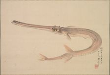 Needlefish (Yagara), 1870. Creator: Raisho Nakajima (Japanese, 1796-1871)