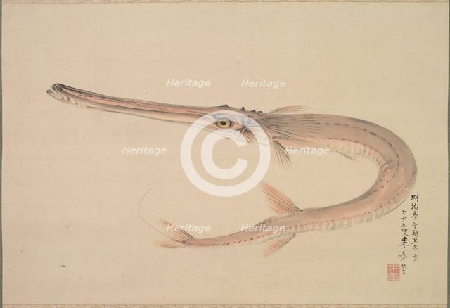 Needlefish (Yagara), 1870. Creator: Raisho Nakajima (Japanese, 1796-1871).