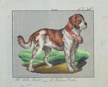 Needlework pattern, c.1885. Creator: A Todt