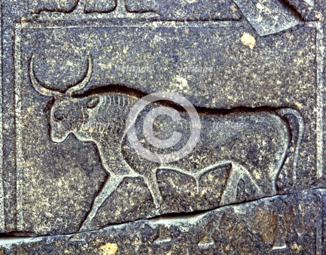 Negative relief on a pillar of Ramses II with the image of a bull, 1250 b.C..